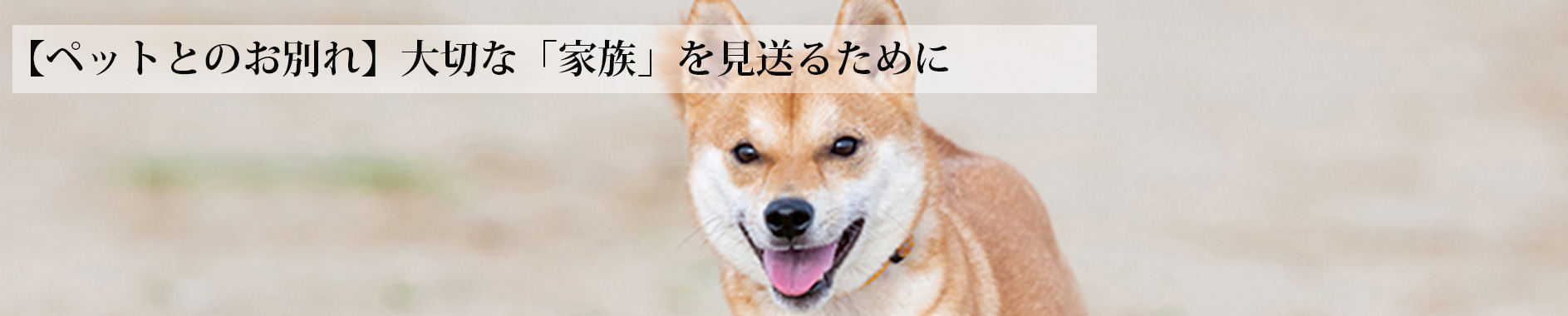 日本霊廟株式会社あいプラングループ画像イメージ