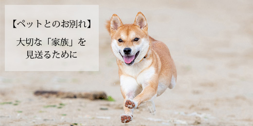 日本霊廟株式会社あいプラングループ画像イメージ
