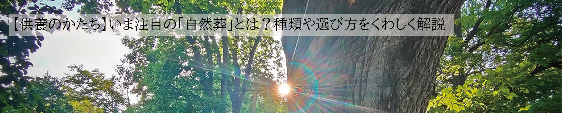 日本霊廟株式会社あいプラングループ画像イメージ
