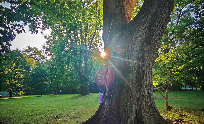 日本霊廟株式会社あいプラングループ画像イメージ